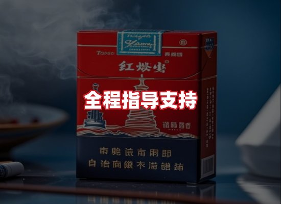 专业团队